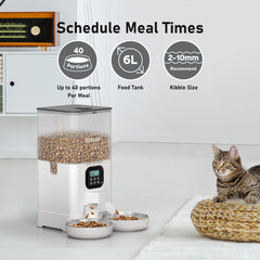 Voluas memory-function cat feeder preserves your feeding schedule through power changes.
