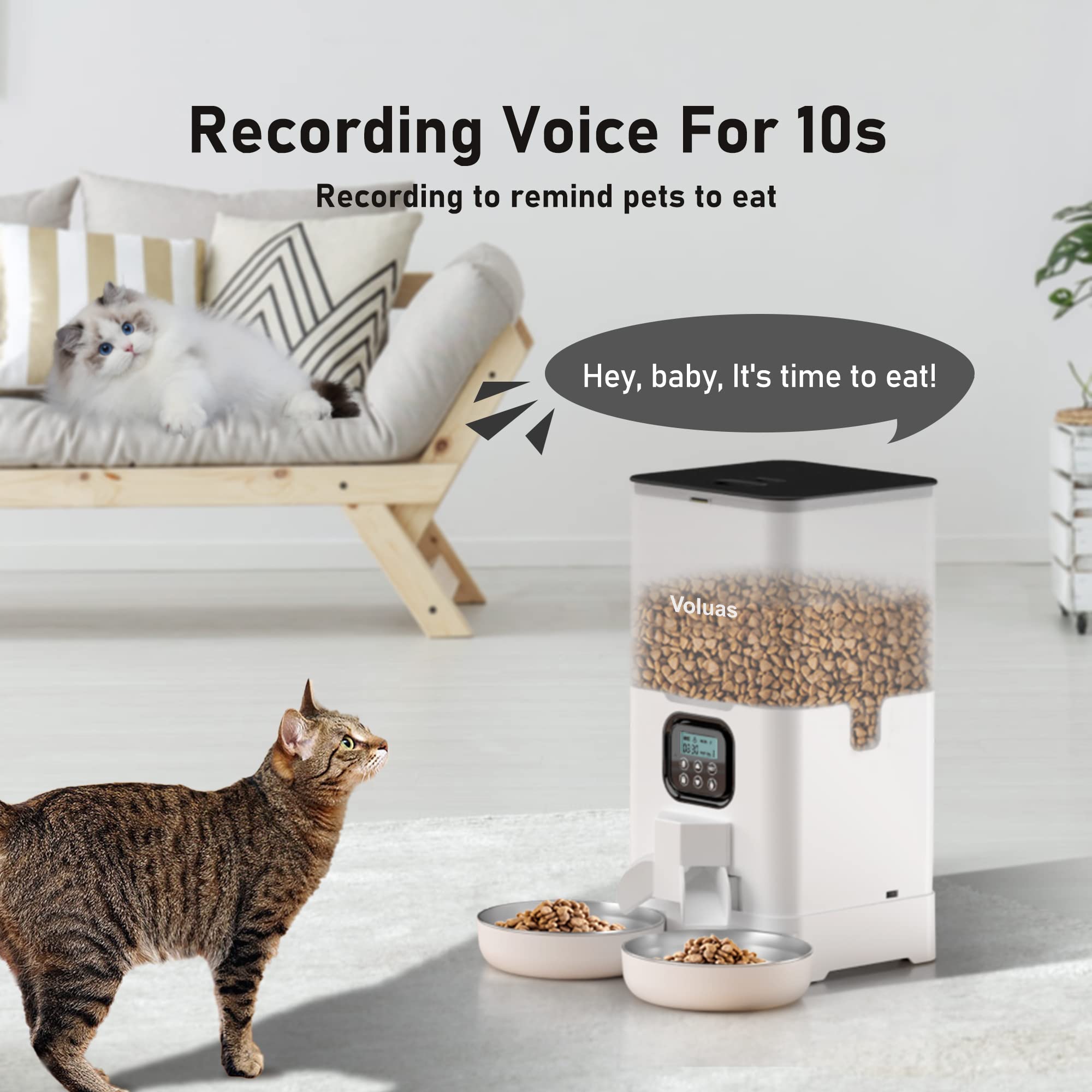 Voluas stainless-steel bowls offer hygienic, easy-to-clean mealtimes for cats.