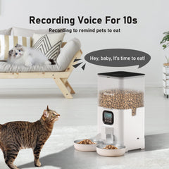 Voluas stainless-steel bowls offer hygienic, easy-to-clean mealtimes for cats.