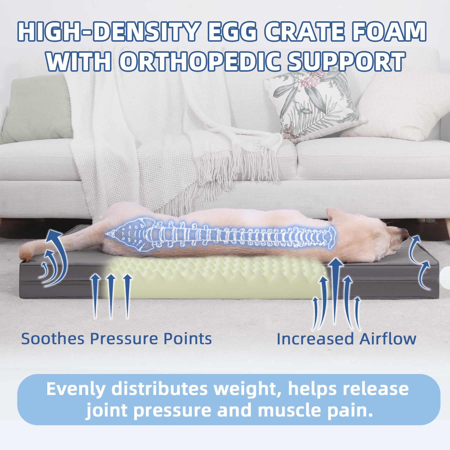 Vonabem XXL non-slip bottom keeps bed in place during use.