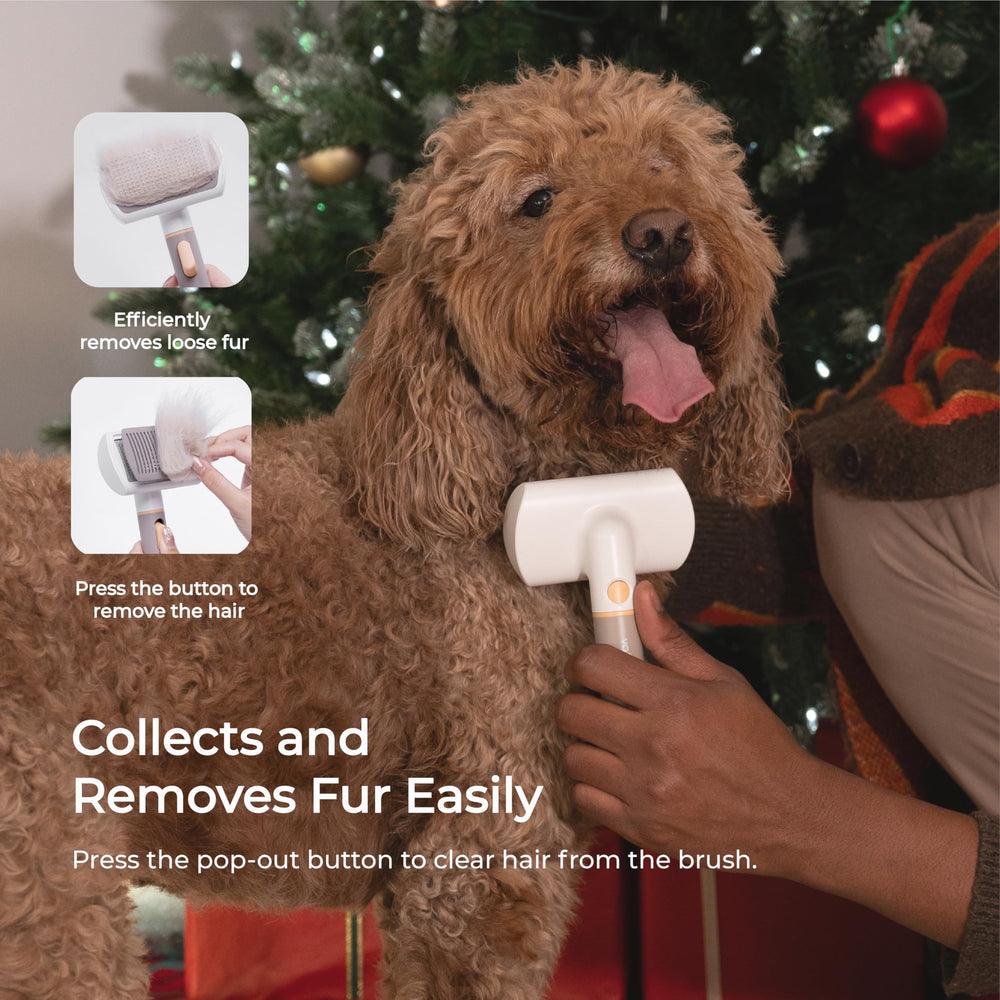 Voocoo dogs and cats fur removal in action demonstrates efficient shedding cleanup