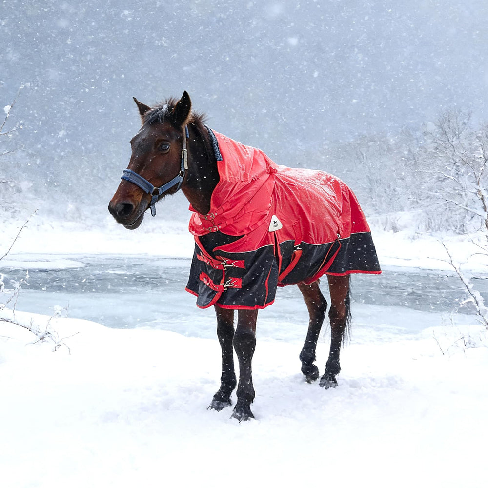 Vortexain red and black winter turnout blanket designed for cold weather