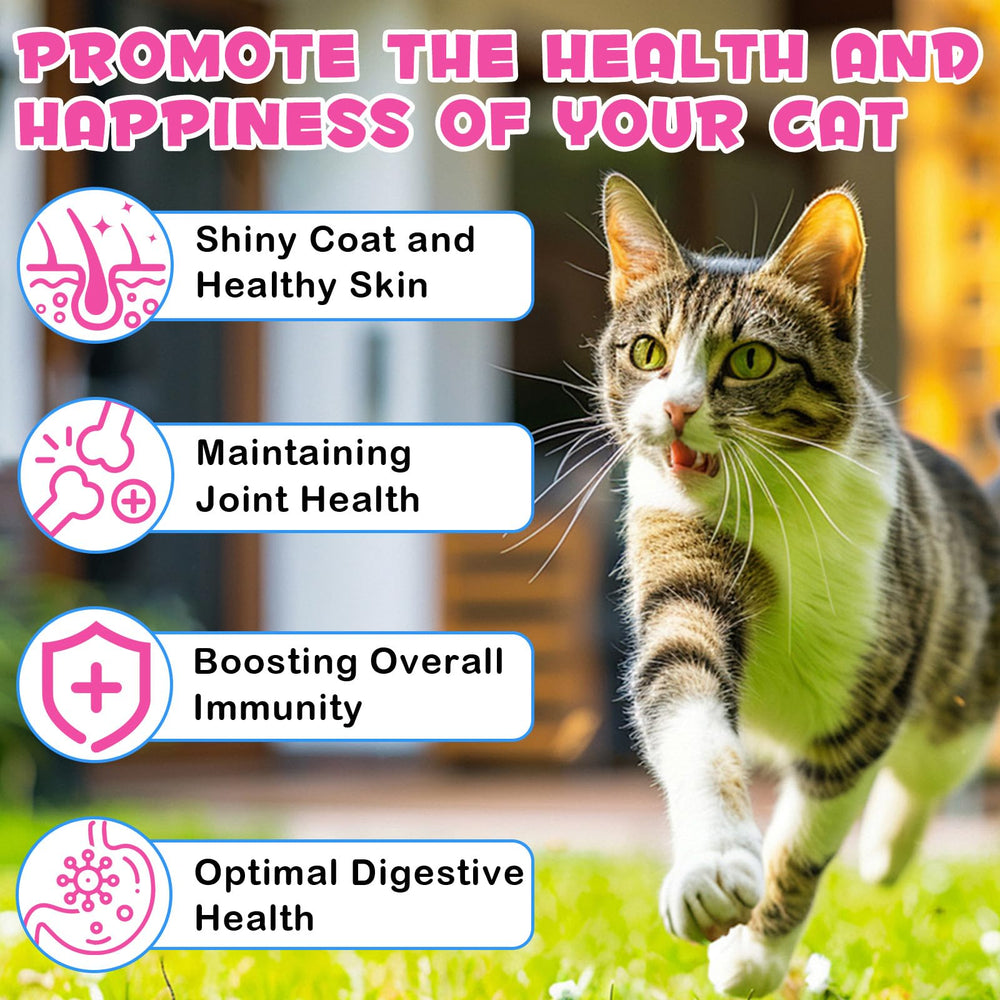 VOSIFSDIY cat digestive immunity support with ginger helps gentle intestinal balance.