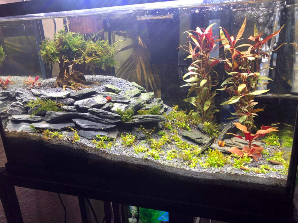 Voulosimi slate rocks caves cliffs for fish tanks and terrariums