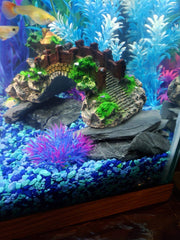 Voulosimi slate rocks create coastal-like borders for water features and terrariums.