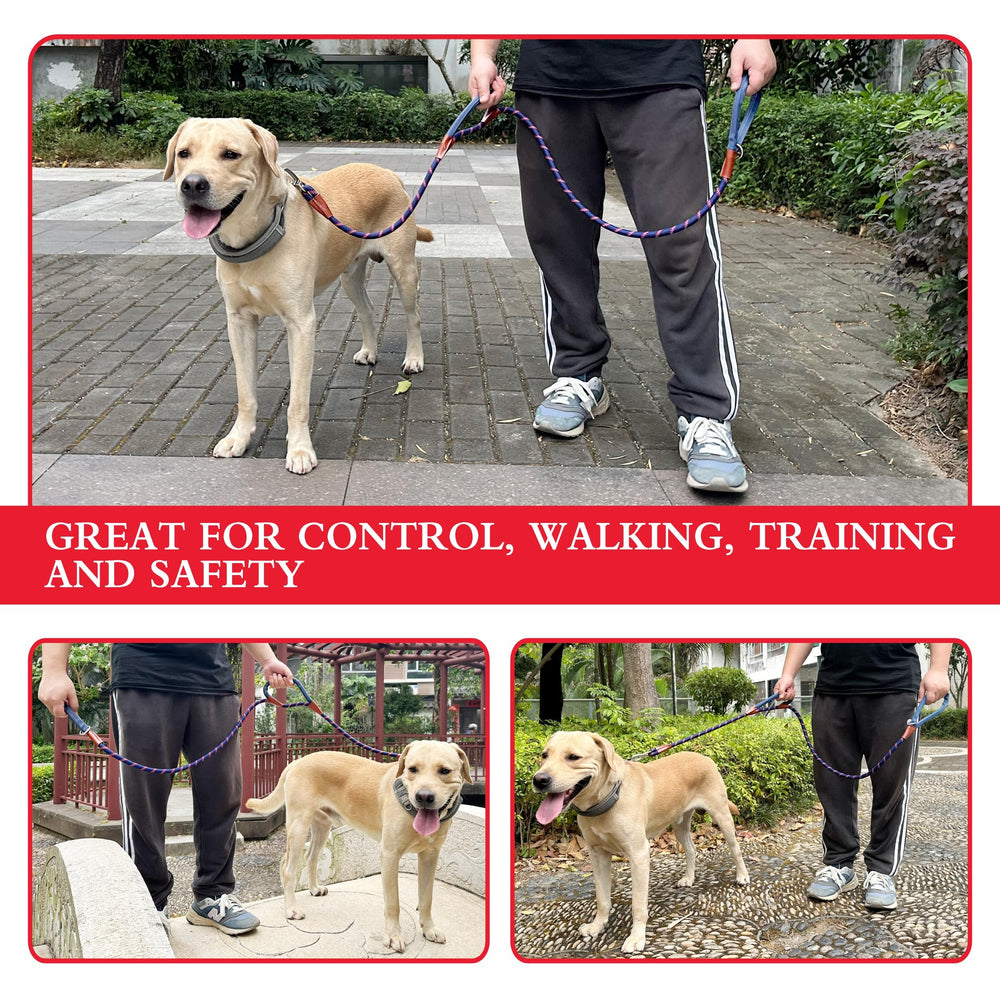 VOZRELS dual-handle layout demonstrates close control during walks