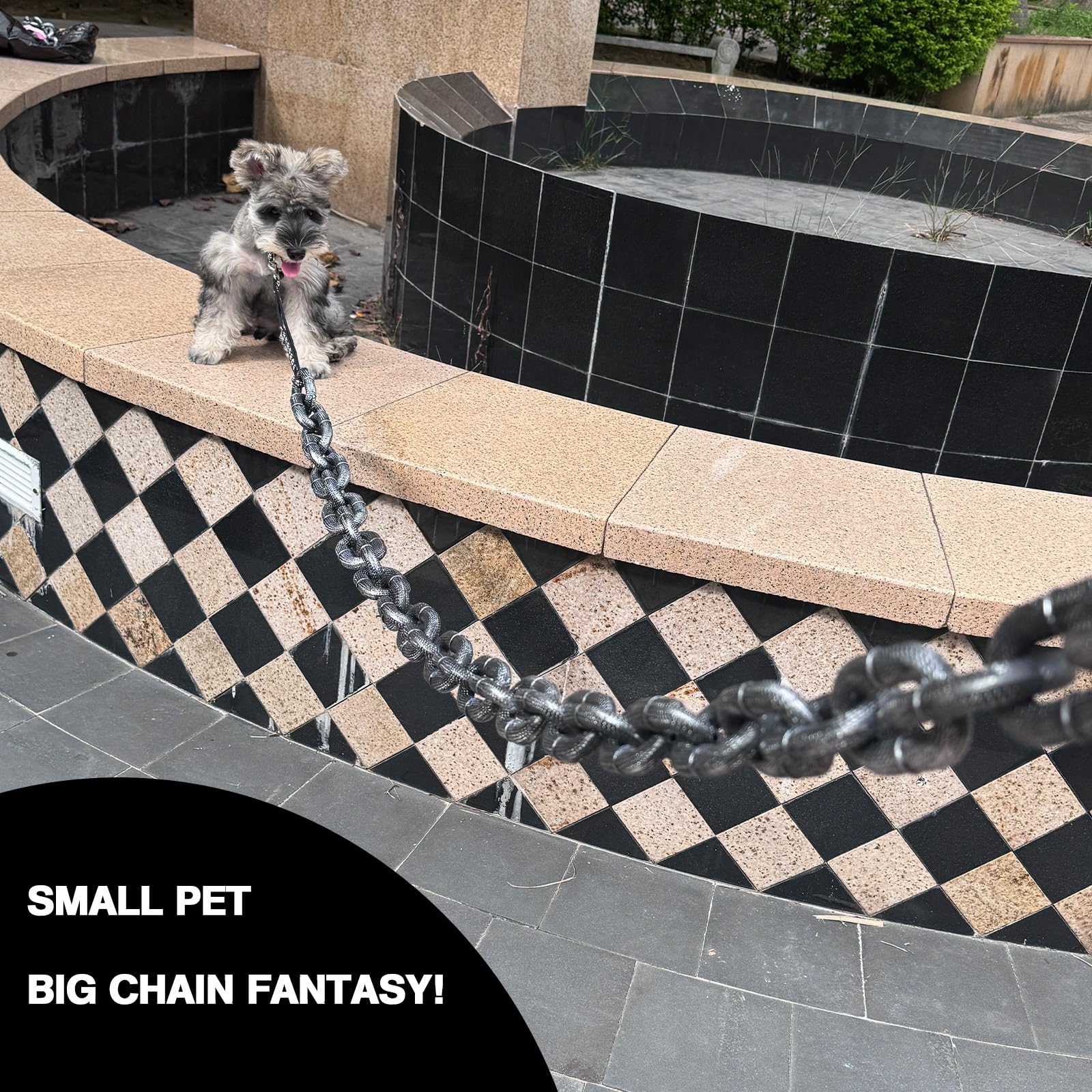 VQARCH owner-holding-leash shows easy handling during casual outdoor strolls.