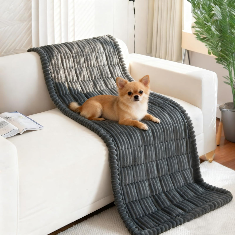 VSIWB travel pet mat offers cozy cushion in cars, trucks, and SUVs.