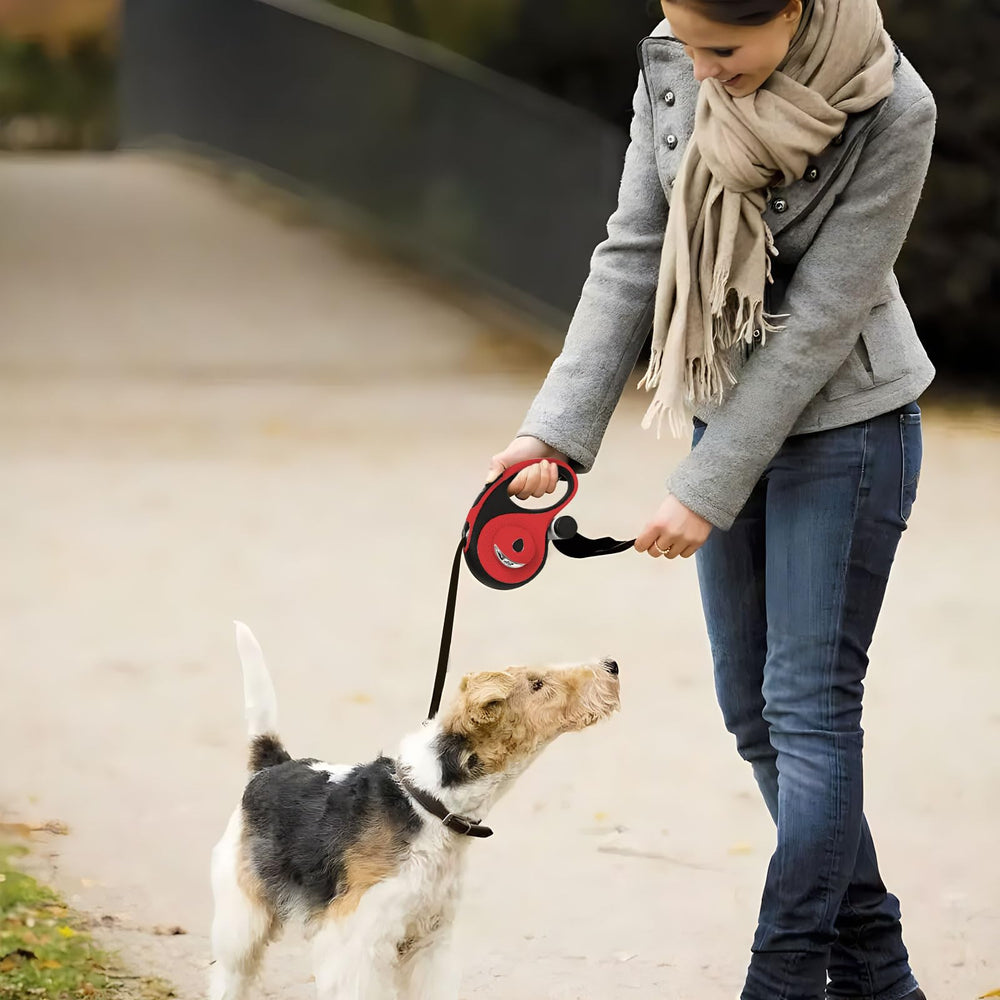 VTOPVMAX night visibility flashlight aids dusk and dawn walks