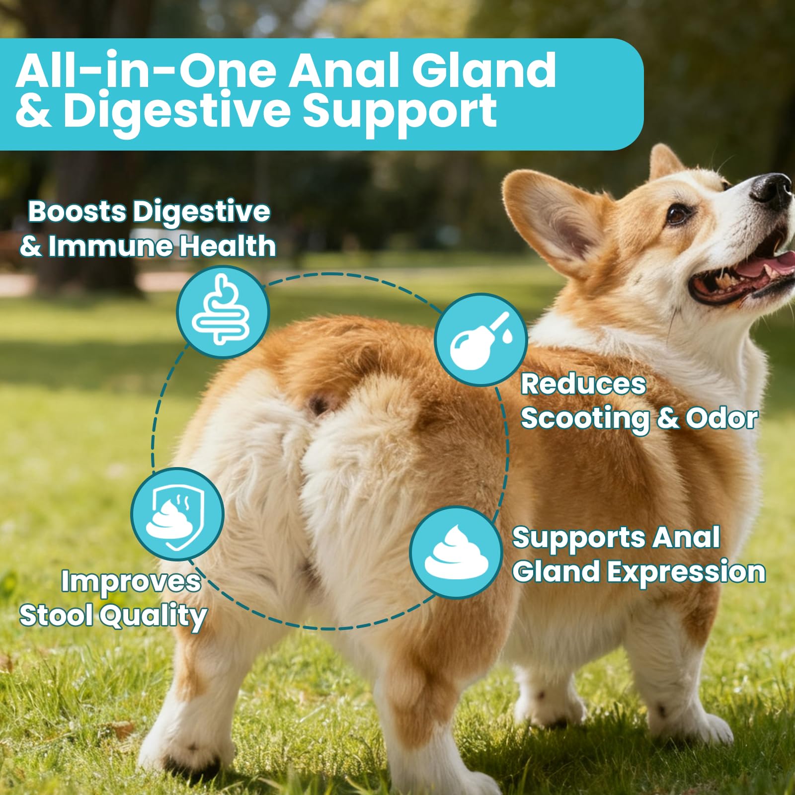 VUN Dog Anal Gland Chews ingredients close-up featuring pumpkin seed and psyllium for gut health.