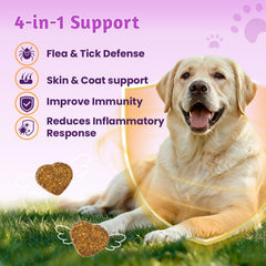 VUN dog flea tick chews skin and coat benefits illustrate soothing support
