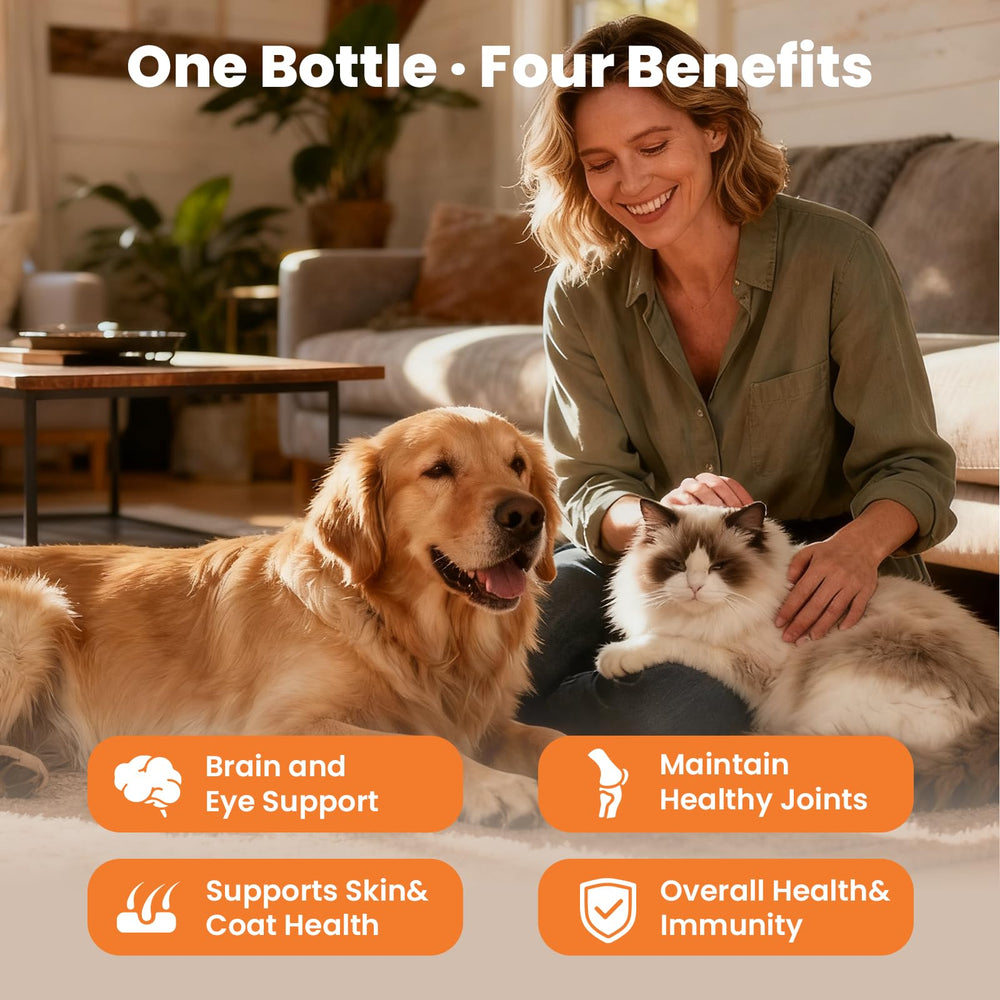VUN salmon oil add-on supports a tasty, rewarding feeding moment for dogs.