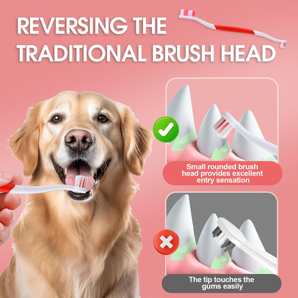VVHOMIFE supports daily pet dental care with comfortable home routine