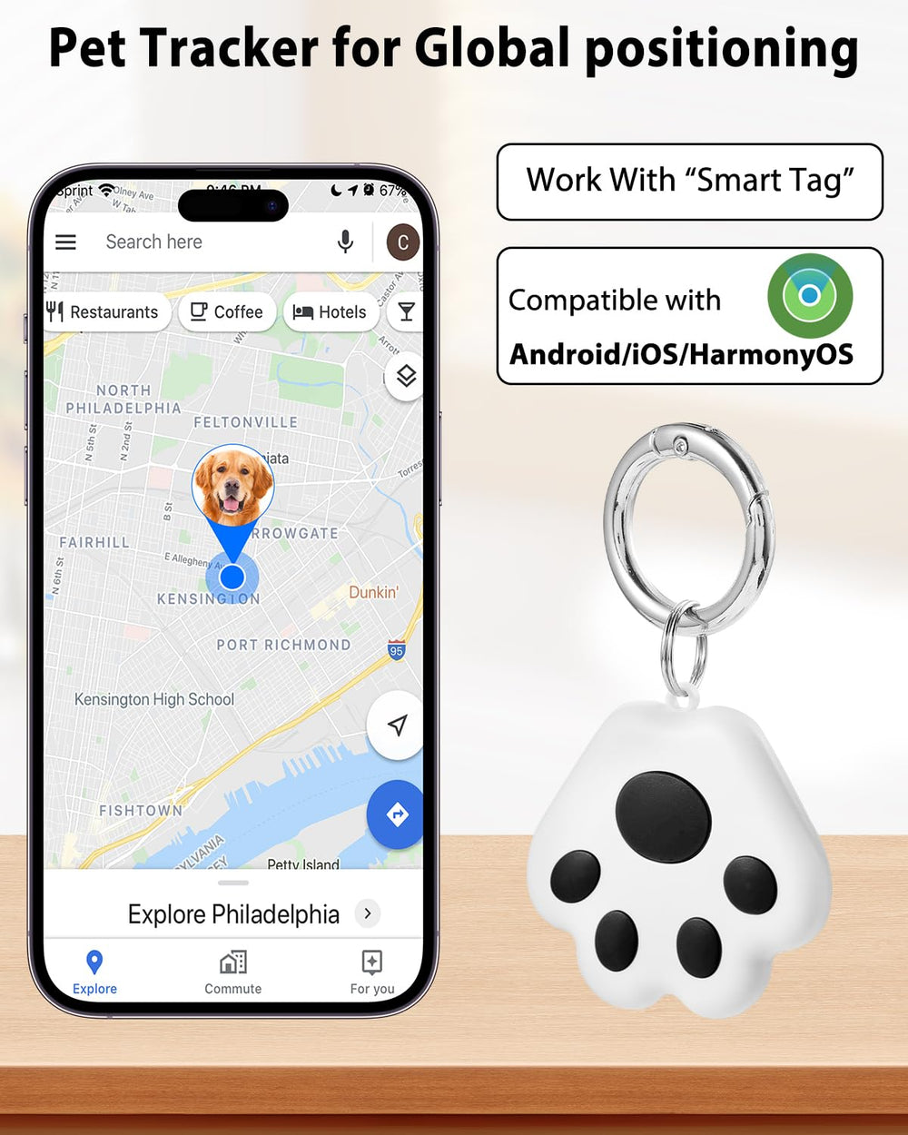VVyL Pet GPS Tracker 7-day history with route replay for pet safety review.