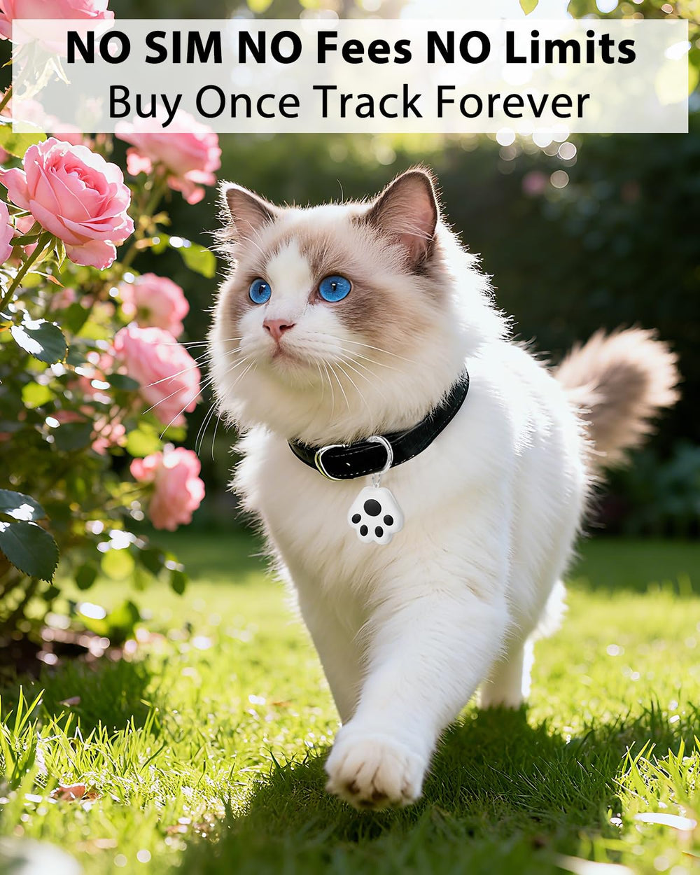 VVyL Pet GPS Tracker rugged mini design is waterproof and dustproof for outdoors.