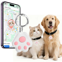 VVyL pet GPS tracker small tag on a collar for reliable outdoor tracking.