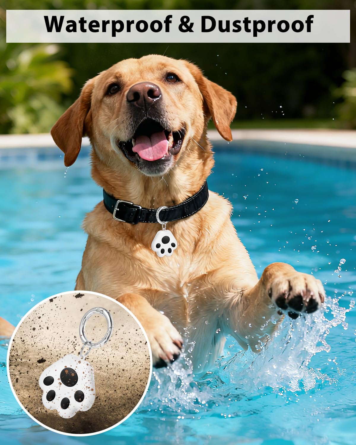 VVyL Pet GPS Tracker no-subscription model offers ongoing location tracking without fees.