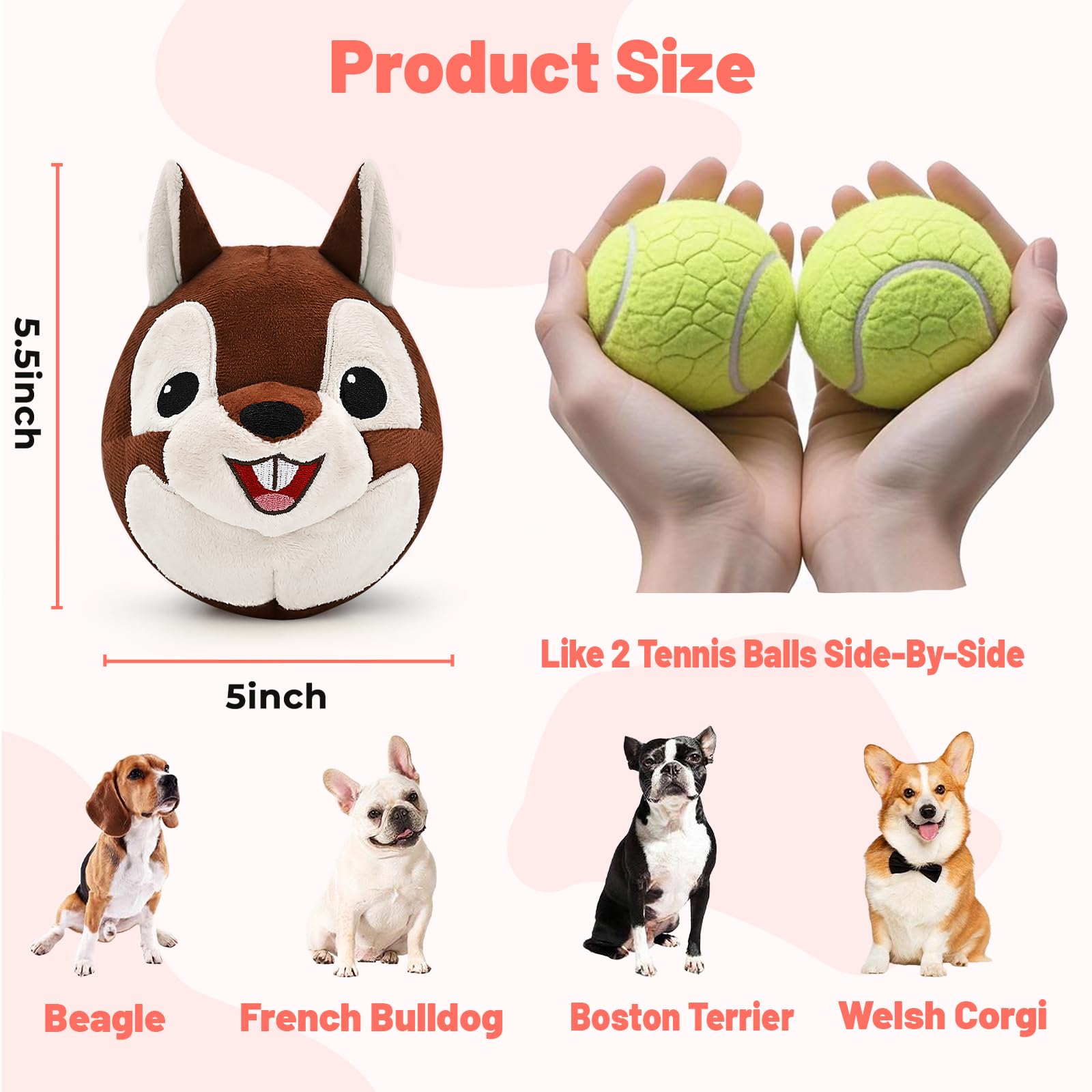 VYsTN Gentle Pup Success Guide tips help ease shy dogs.