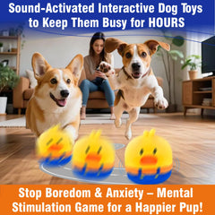 VYsTN motion-sensor vibrating dog toy responds to bark or sound for interaction