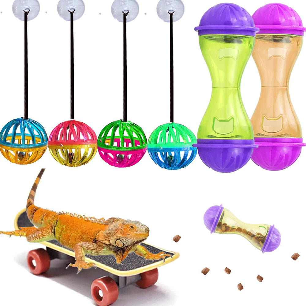 VZqola patineta dragón: estímulo de juego y exploración