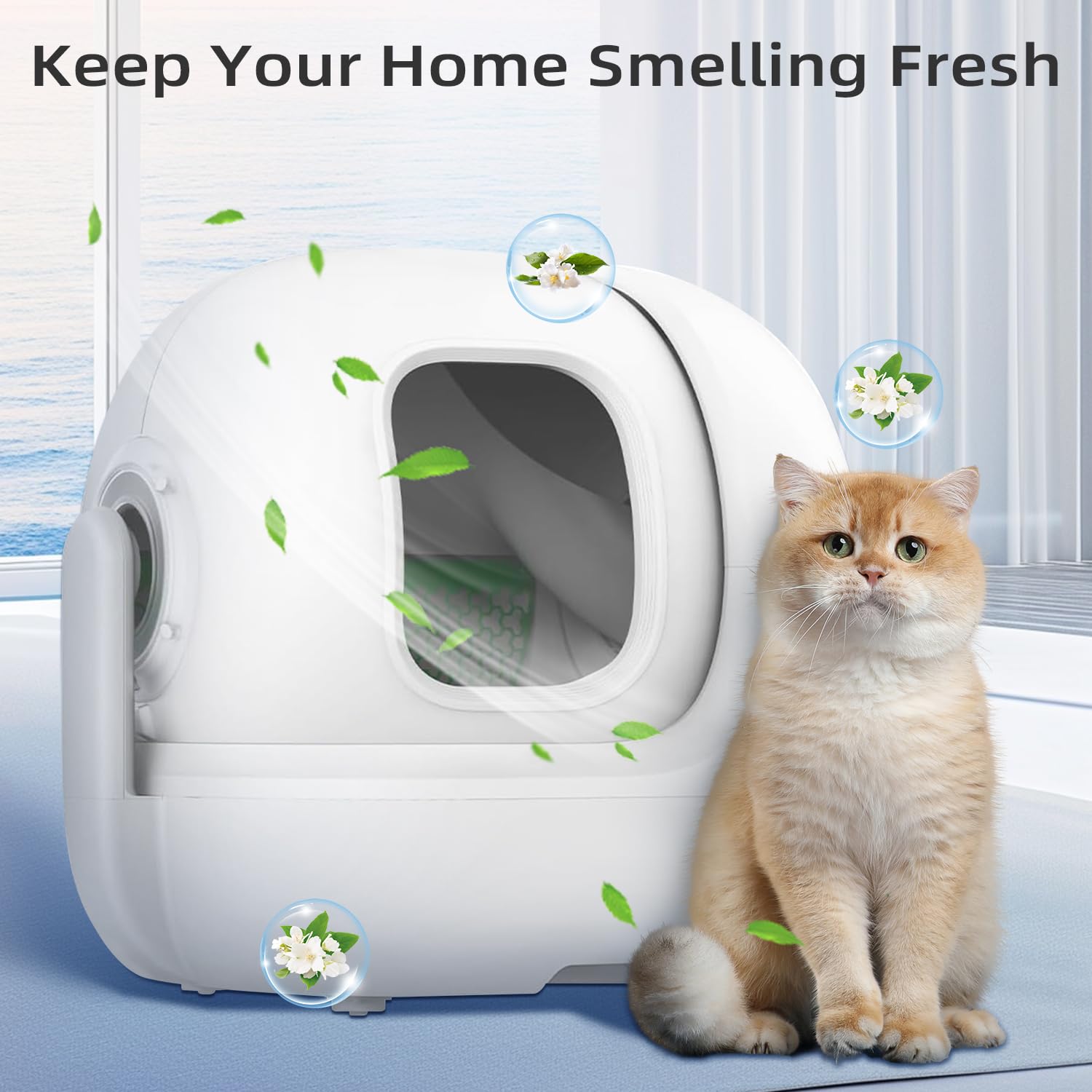 Waatoos N50 helps keep air fresh around self-cleaning litter areas.