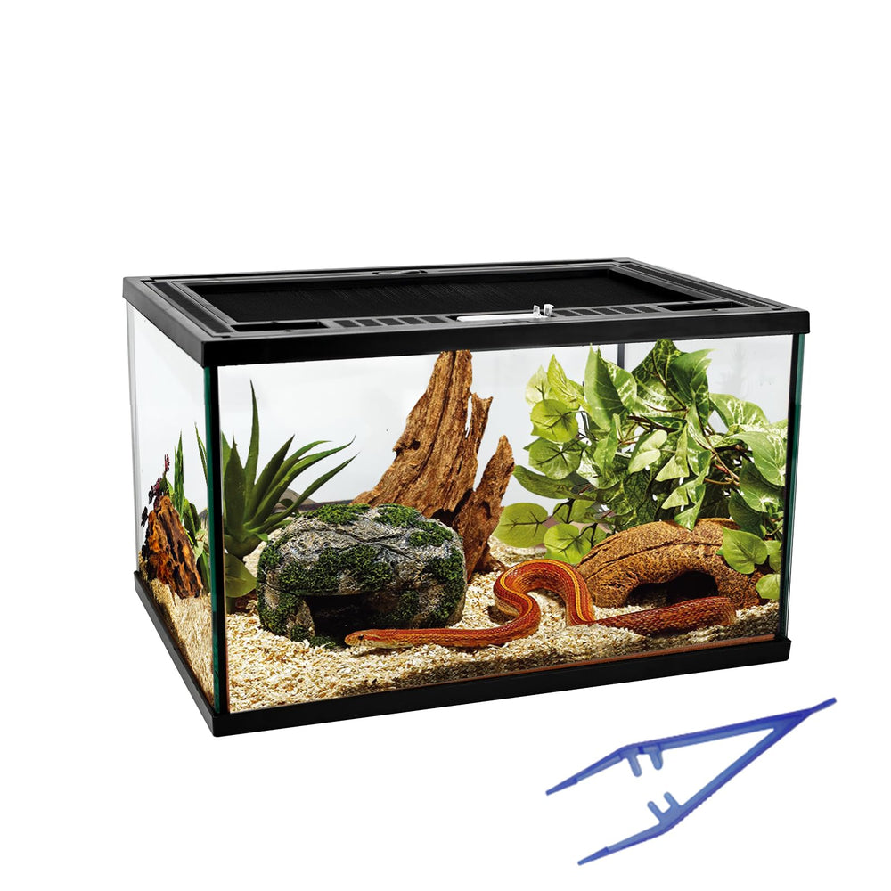 Waazoorep reptile glass tank 360° view enabling comprehensive pet observation.