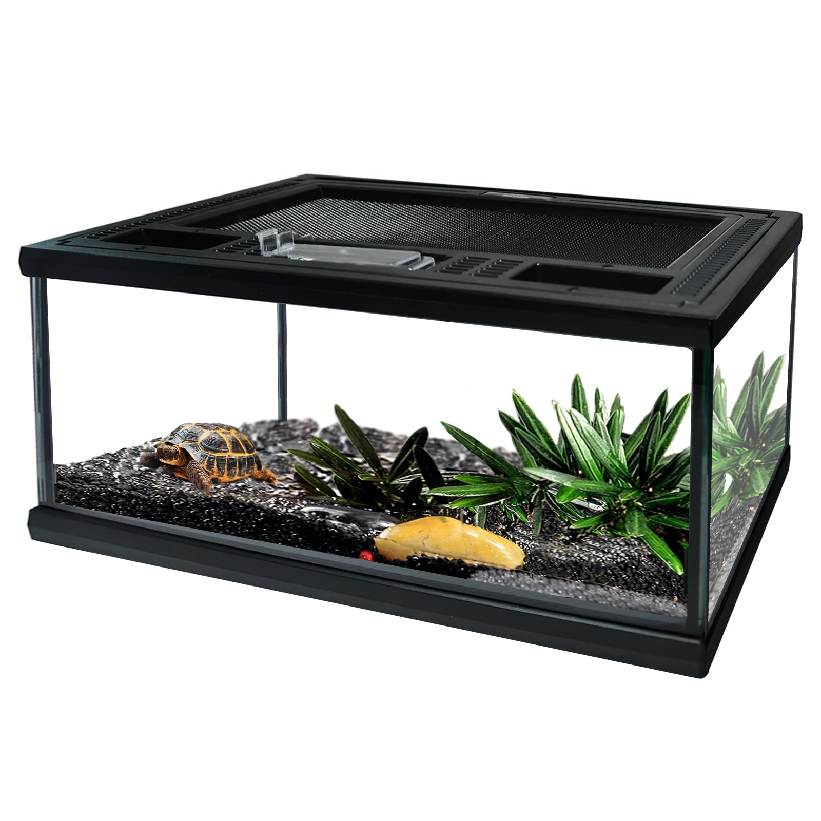 Waazoorep reptile glass terrarium cleaning access for easy maintenance.