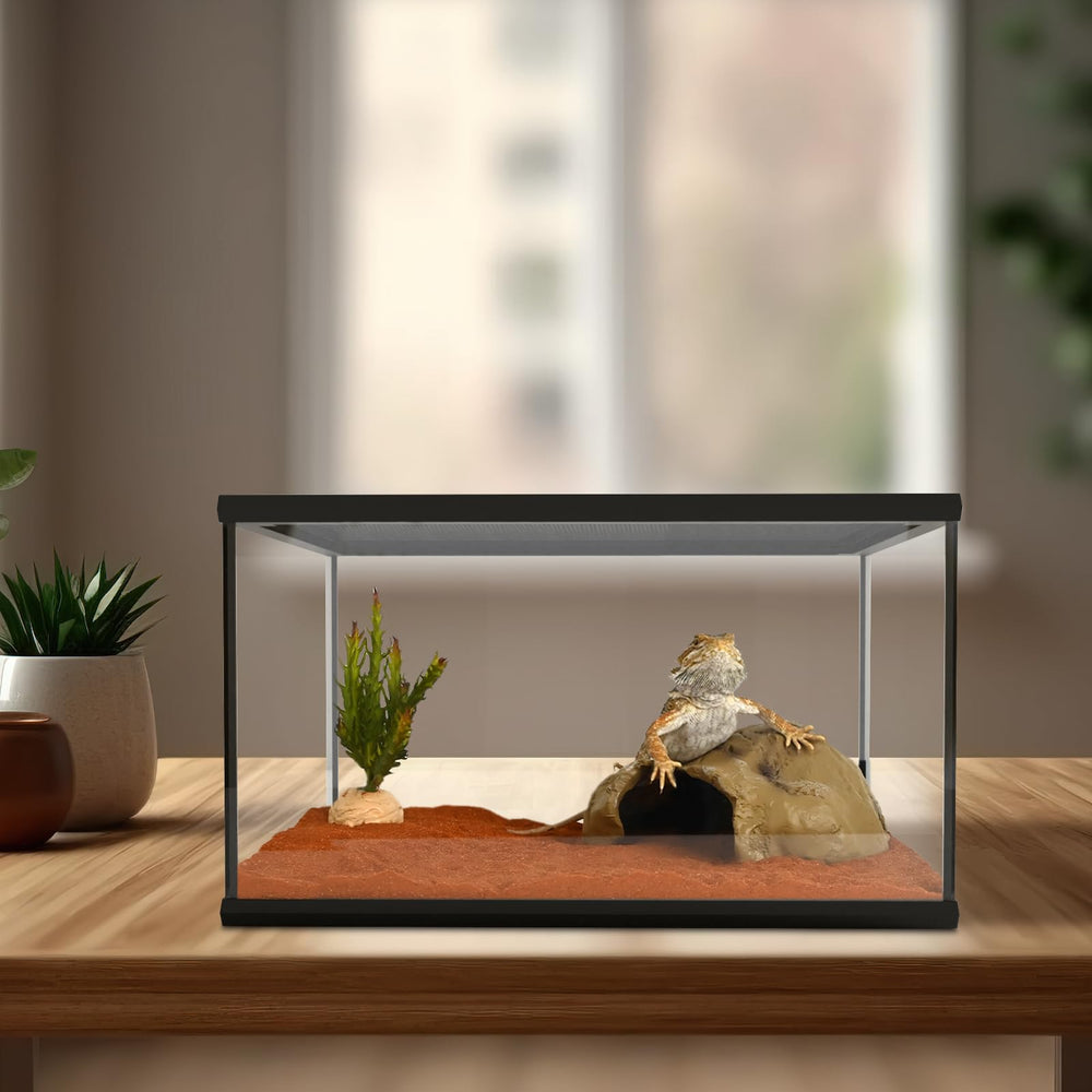 Waazoorep glass tank suited for reptiles, amphibians, and insects.