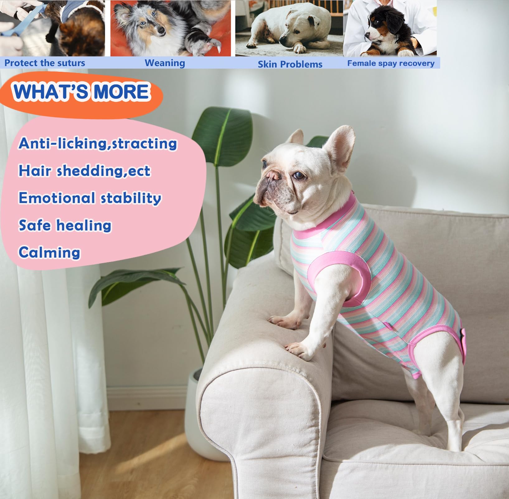 Wabdhaly cone-alternative supports eating and play