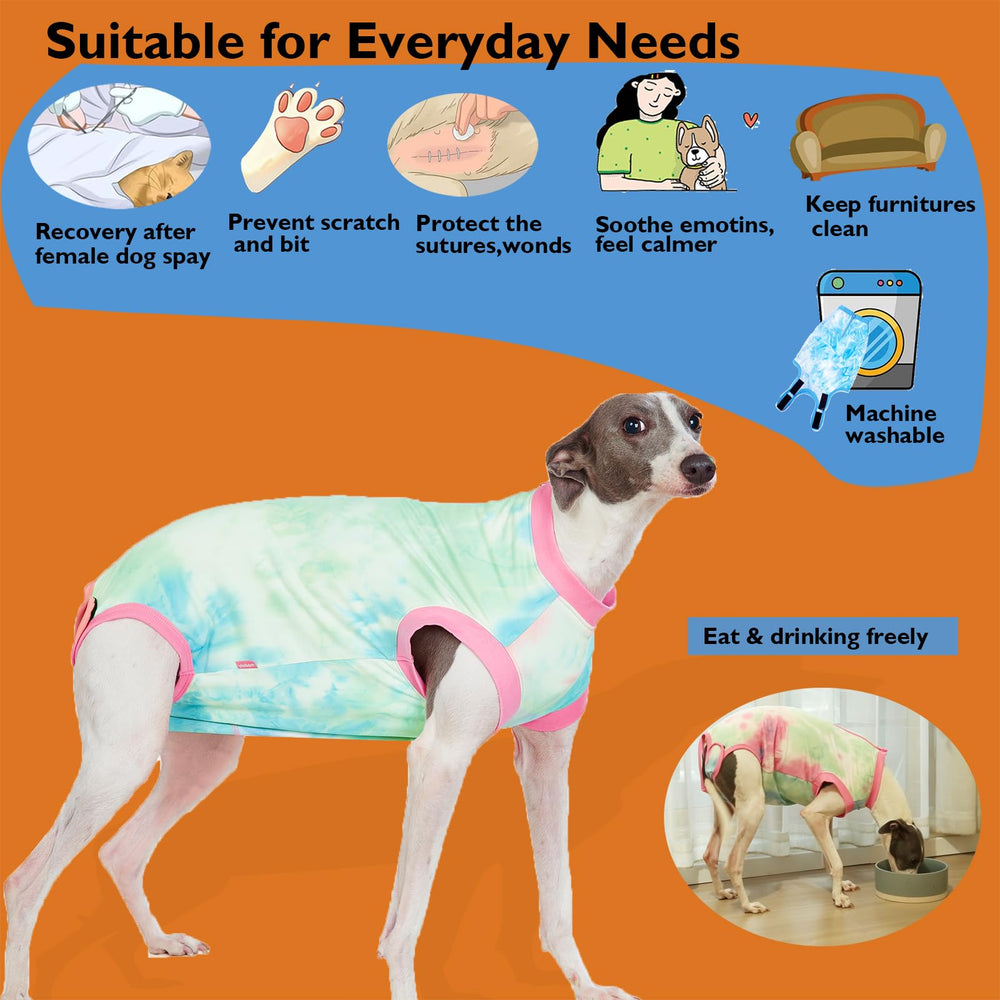 Wabdhaly cone-alternative dog suit on a patient dog reduces licking without distress