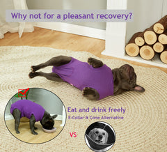 Wabdhaly Cone-alternative dog surgery suit supports activity without restriction
