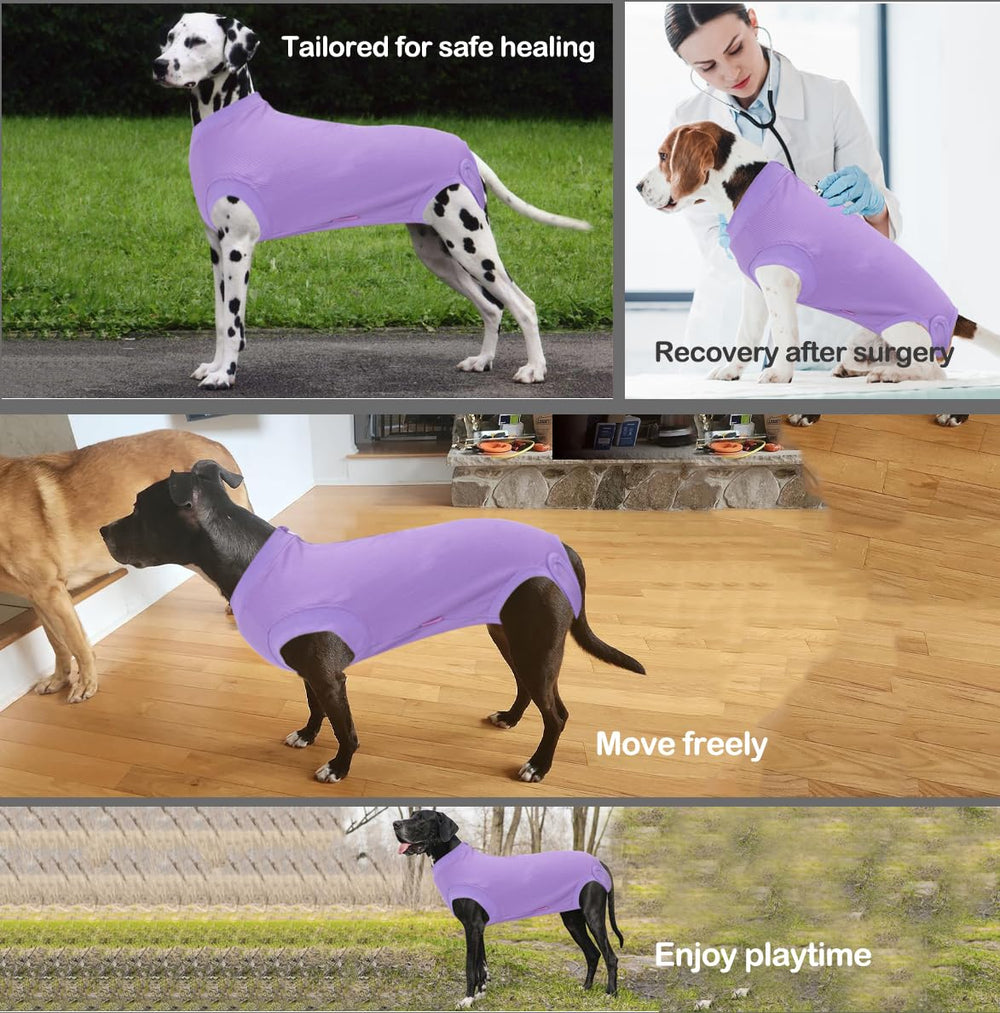Wabdhaly cone-alternative recovery wear lets dogs eat and move naturally.