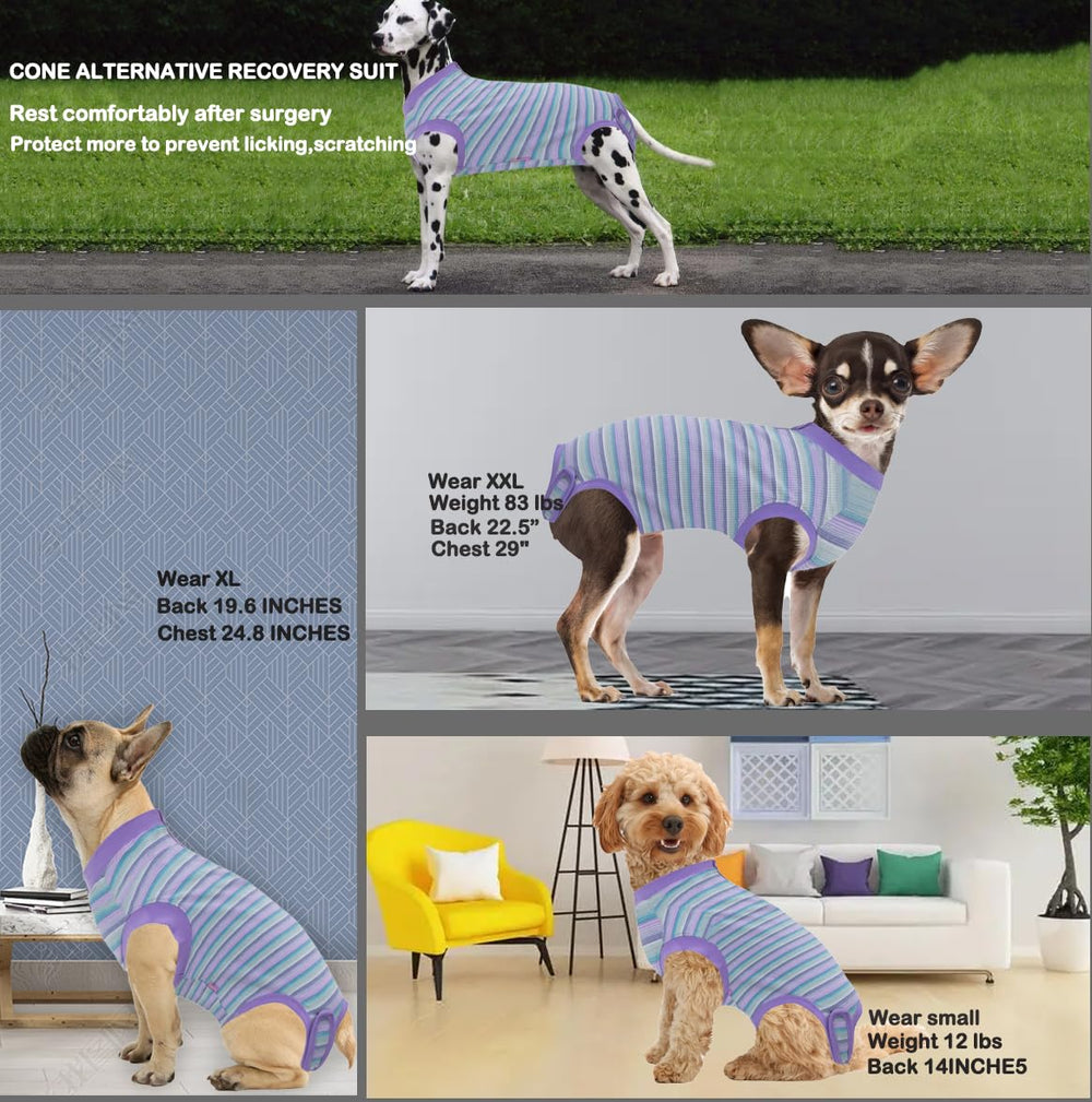 Wabdhaly dog cone alternative helps dogs eat and move comfortably post-surgery.