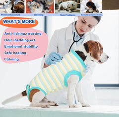Wabdhaly dog cone alternative wearable image demonstrates stress-free recovery.