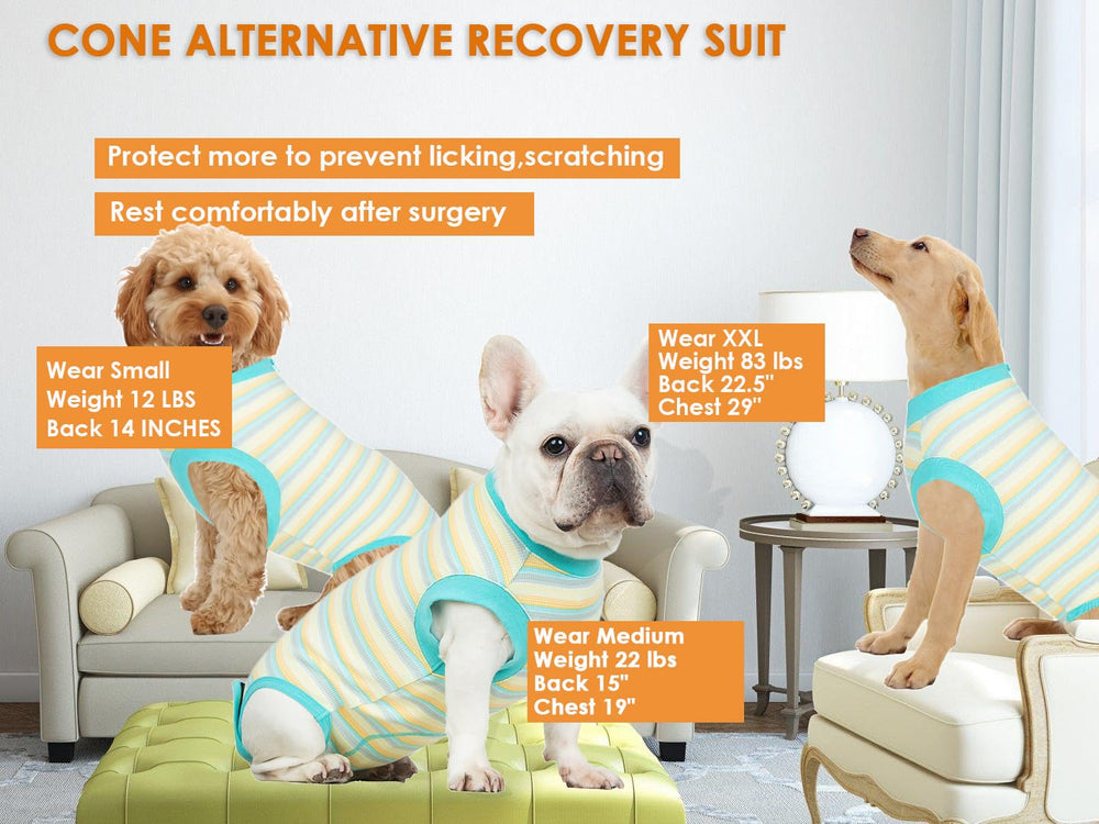 Wabdhaly dog post-surgery easy potty breaks visual communicates quick bathroom access.