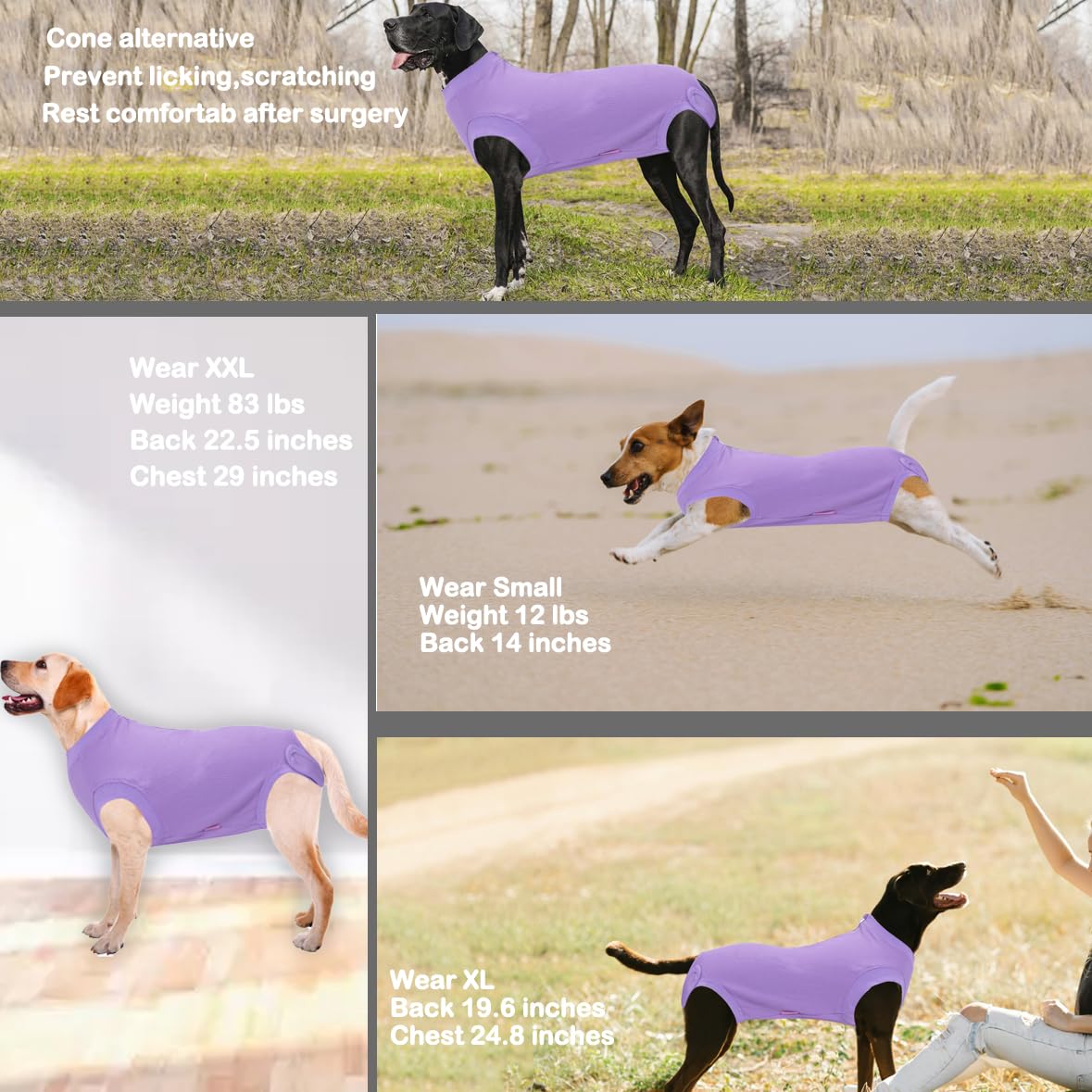 Wabdhaly dog recovery zippered design enabling easy on/off access.