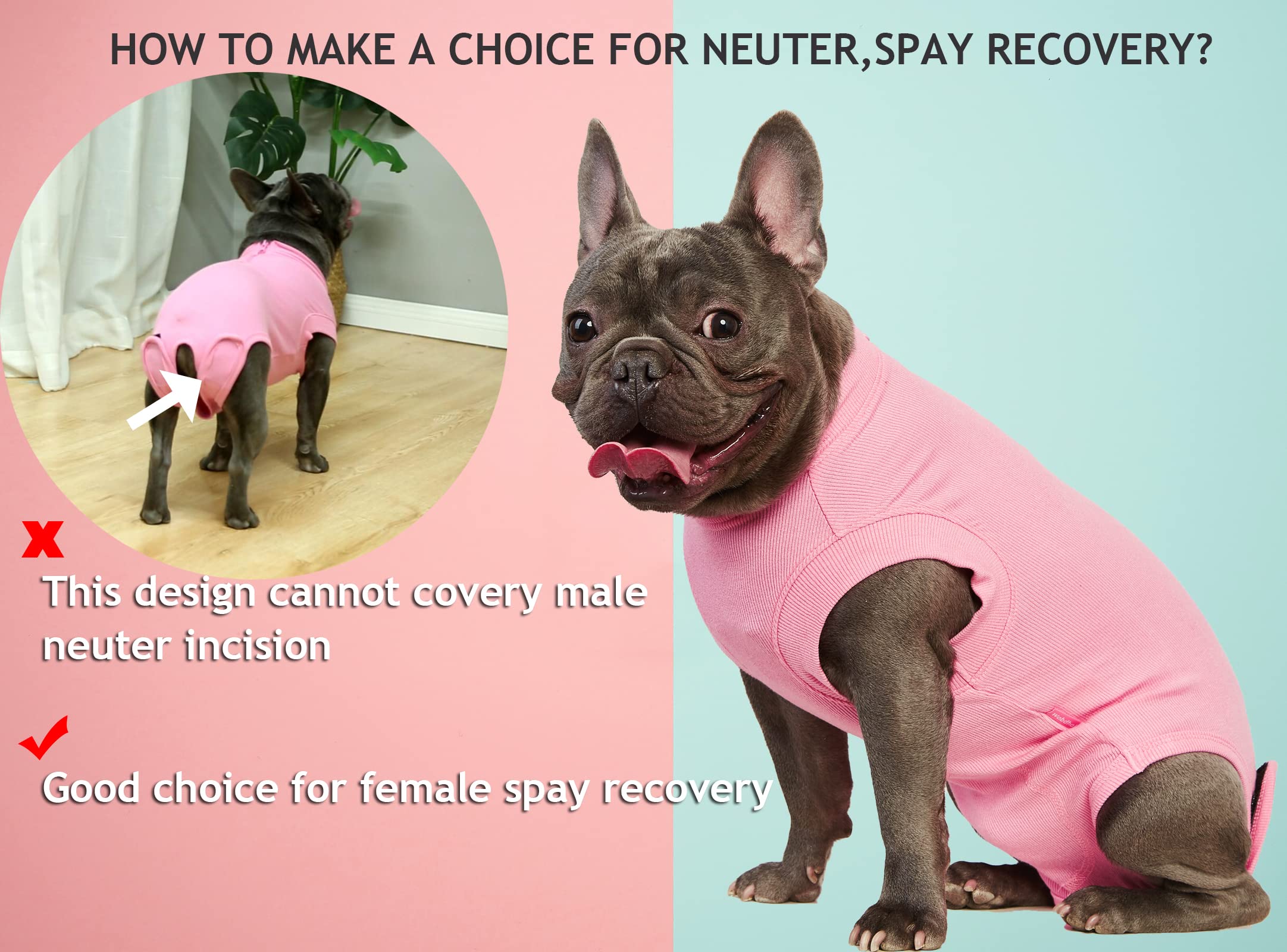 Wabdhaly size-guide large helps proper fit for bigger dogs.