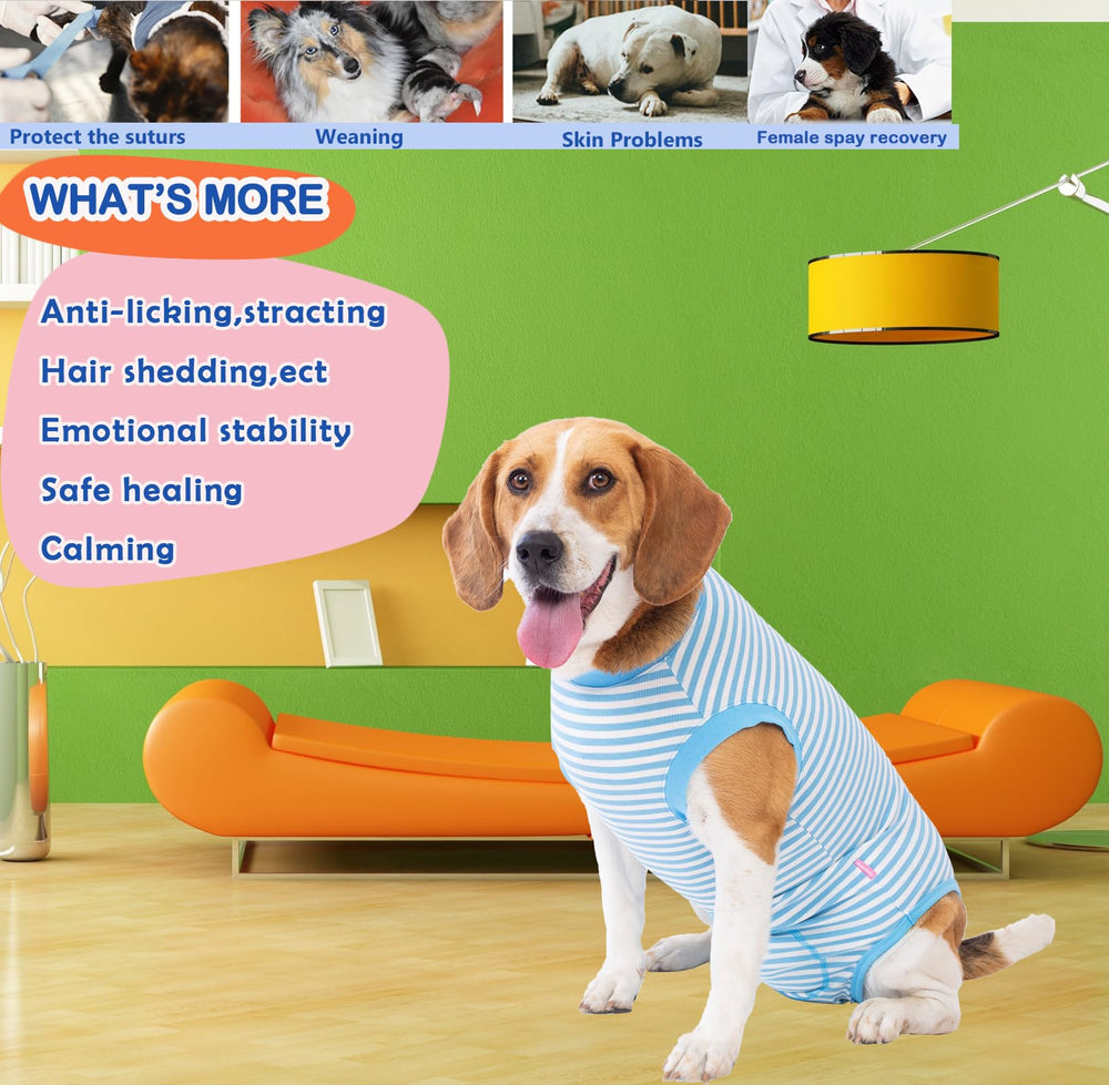 Wabdhaly dog surgery suit providing anti-licking coverage for wound protection.