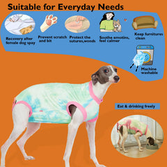 Wabdhaly dog surgery suit soft breathable fabric enables comfortable recovery.