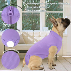 Wabdhaly dog-surgery suit in soft breathable fabric for comfortable healing.