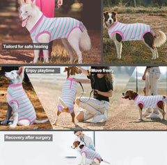 Wabdhaly Recovery Suit Anti-Licking: protects wounds while keeping dogs comfortable