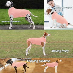 Wabdhaly cone-alternative design allows activity and feeding during recovery