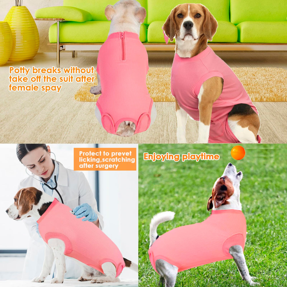 Wabdhaly dog cone alternative wear reduces anxiety and allows activity.