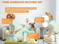 Wabdhaly recovery suit serves as cone alternative for calm eating and play