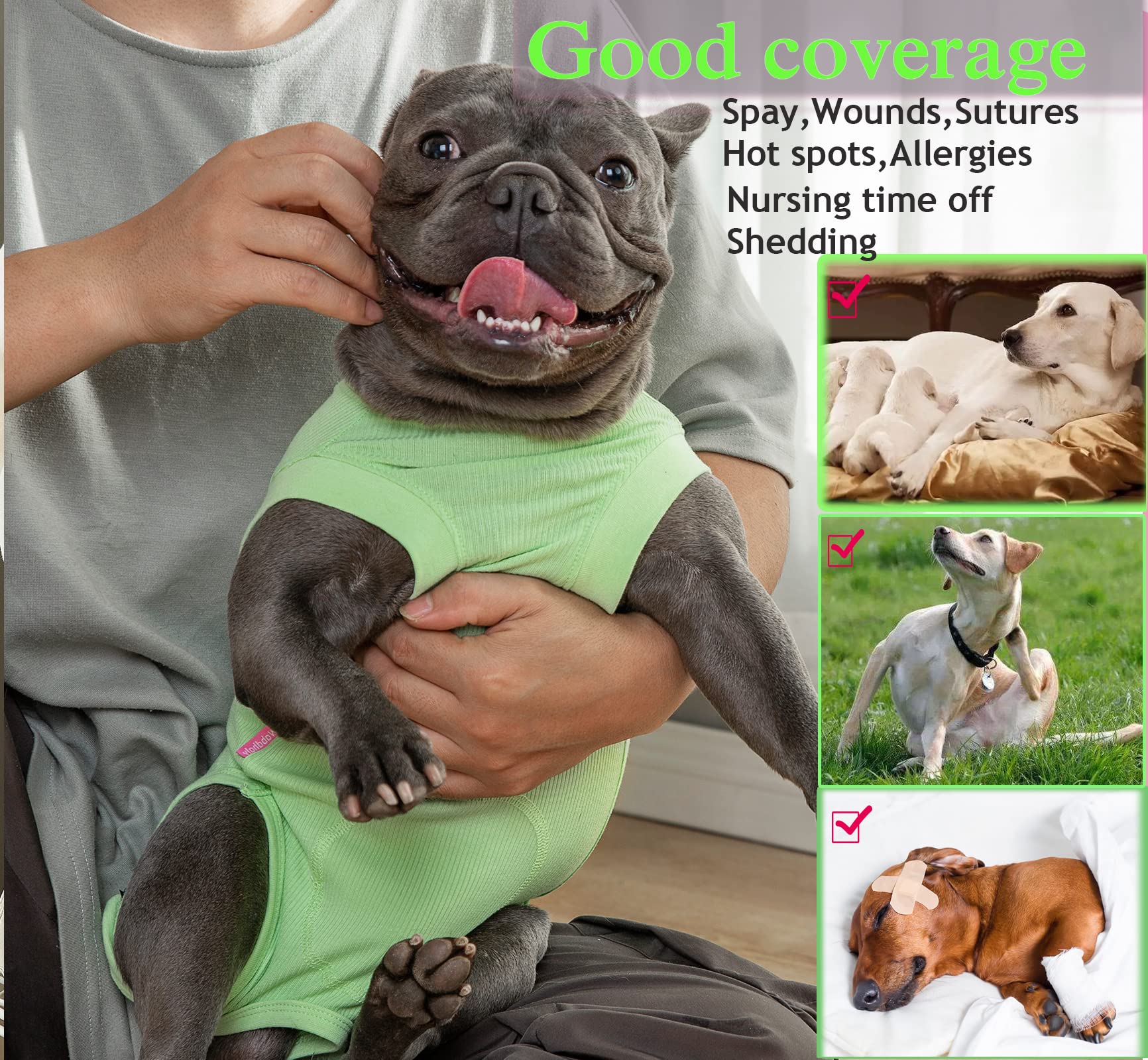 Wabdhaly breathable fabric keeps dogs comfortable during recovery.