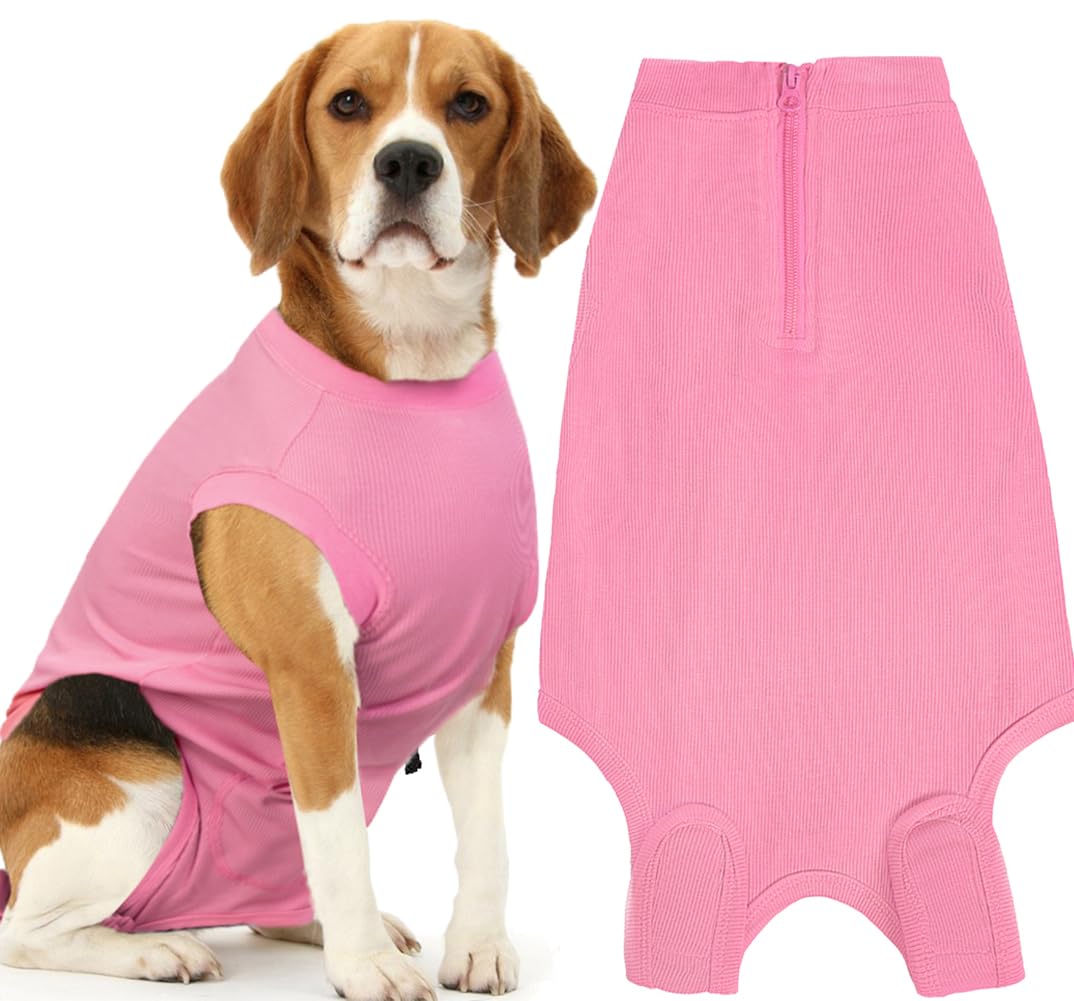 Wabdhaly Recovery Suit on a dog shows cone-alternative comfort for post-surgery healing.