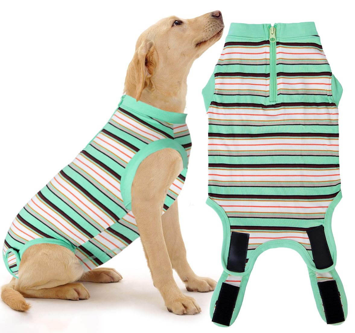 Wabdhaly recovery suit for dogs, front view supports post-surgery comfort