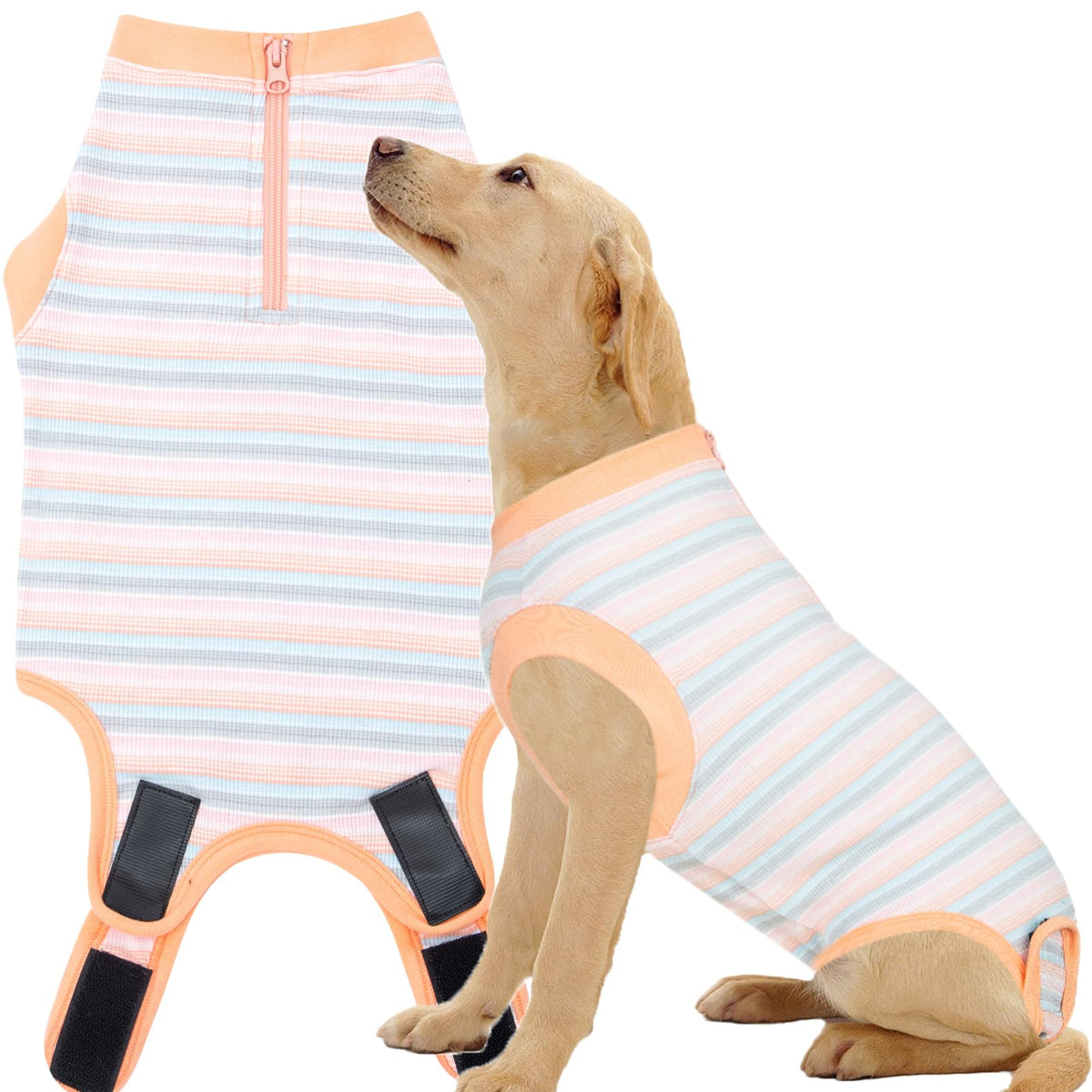 Wabdhaly recovery suit on a dog for comfortable post-surgery wear and anti-lick protection