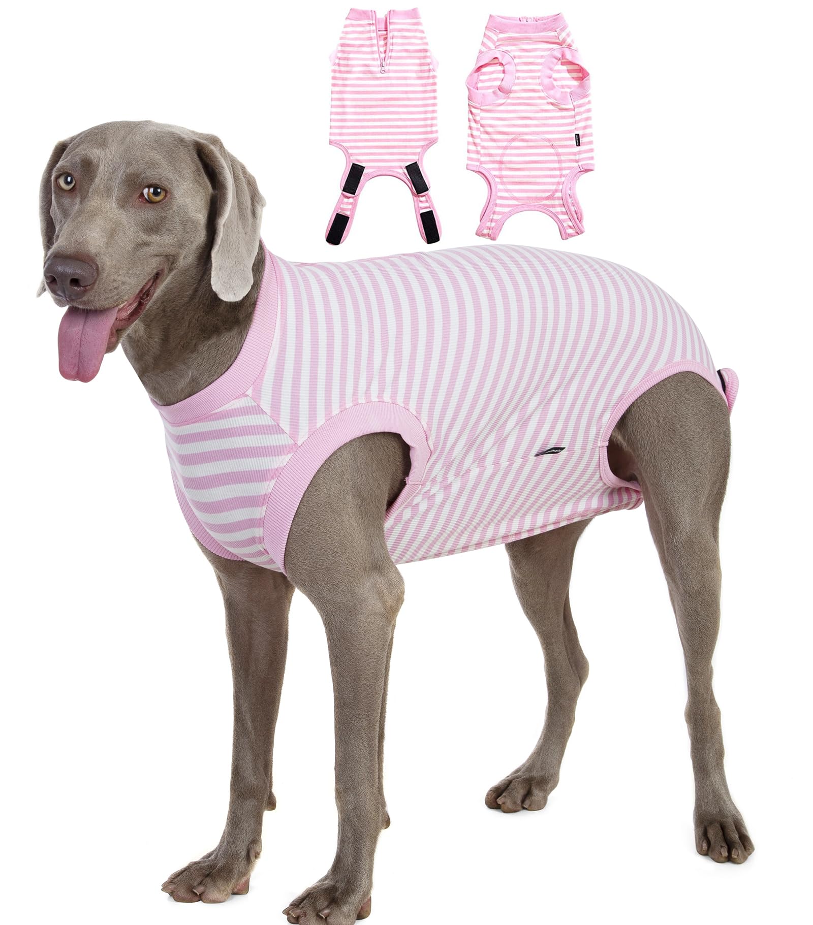 Wabdhaly recovery suit zipper closeup shows quiet secure fastening for post-surgery dogs