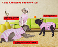 Wabdhaly recovery suit protects wounds and reduces licking during healing